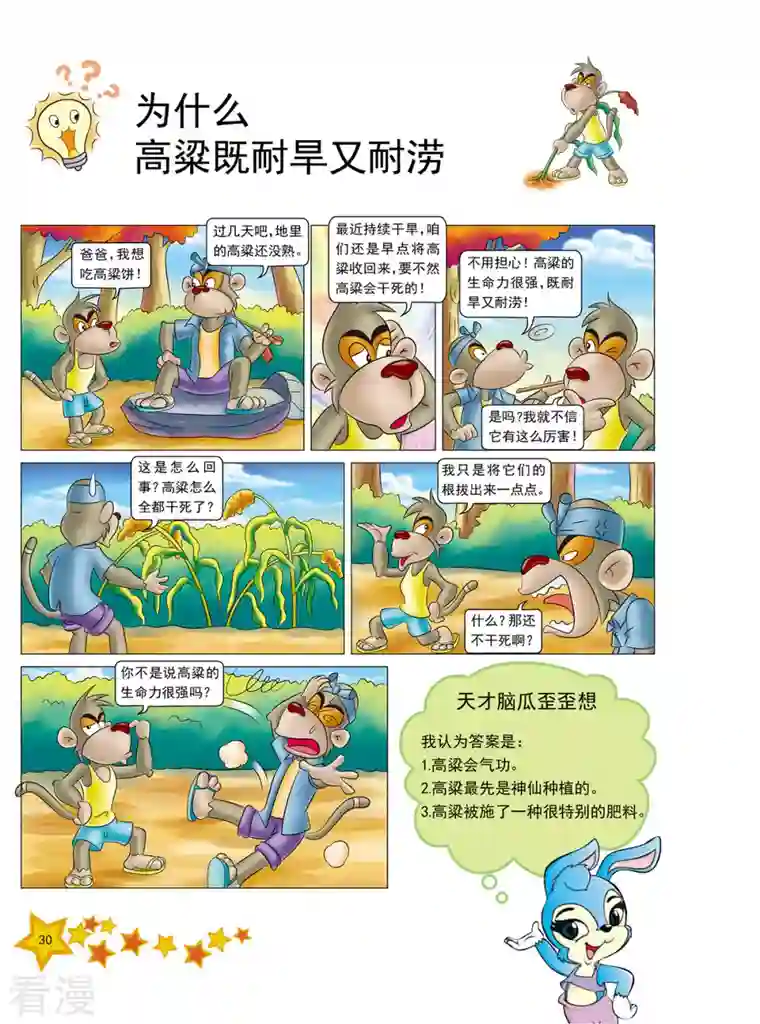 虹猫蓝兔十万个为什么之植物卷第3话