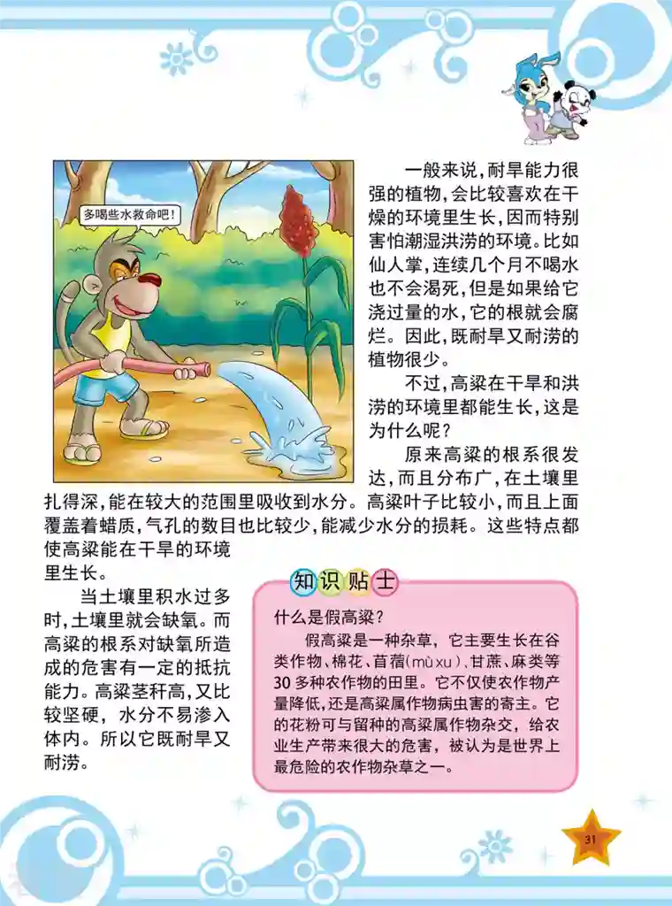 虹猫蓝兔十万个为什么之植物卷第3话