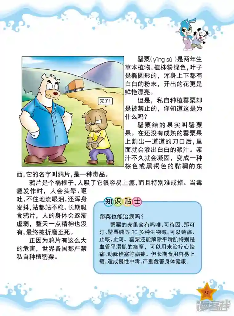 虹猫蓝兔十万个为什么之植物卷第4话