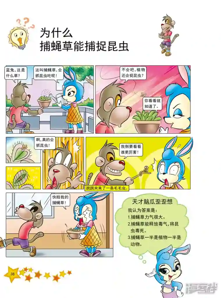 虹猫蓝兔十万个为什么之植物卷第4话