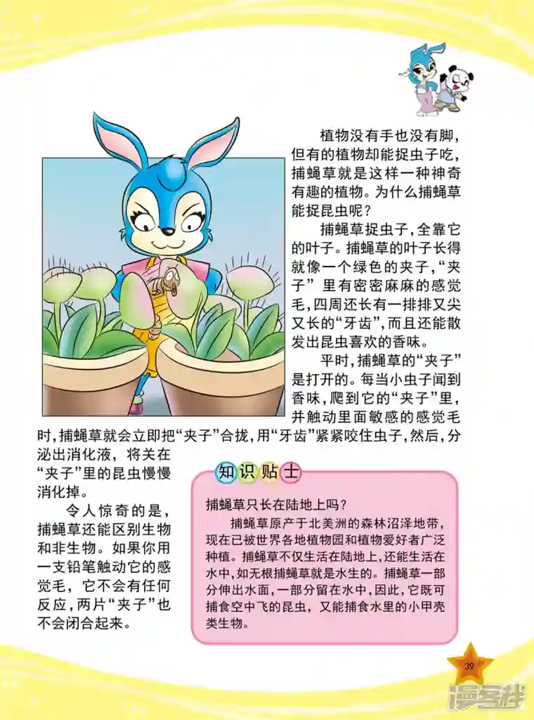 虹猫蓝兔十万个为什么之植物卷第4话