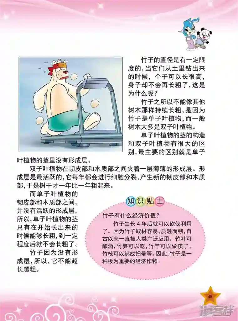 虹猫蓝兔十万个为什么之植物卷第5话