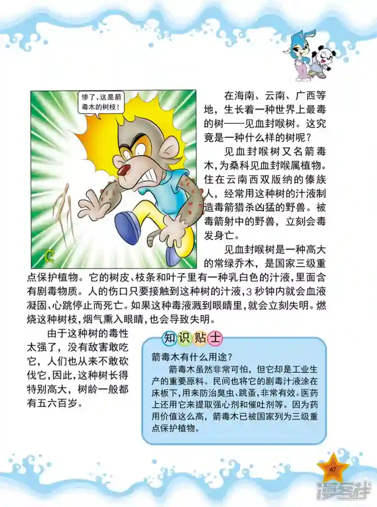 虹猫蓝兔十万个为什么之植物卷第5话