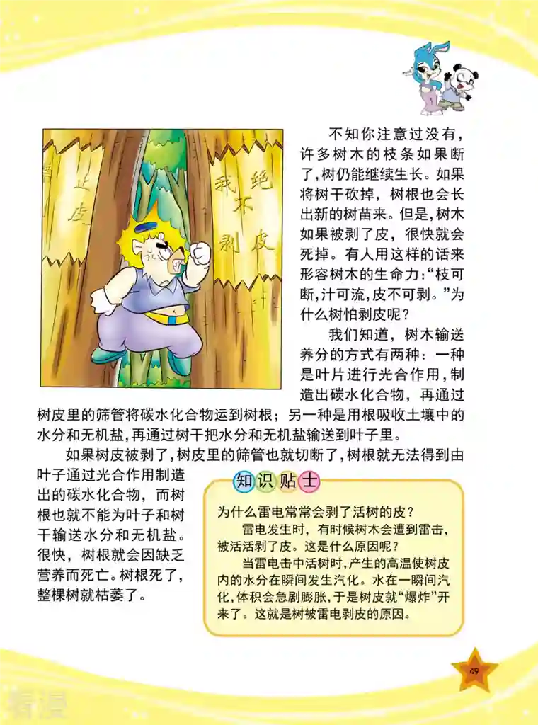 虹猫蓝兔十万个为什么之植物卷第6话