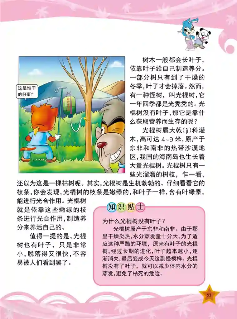 虹猫蓝兔十万个为什么之植物卷第6话