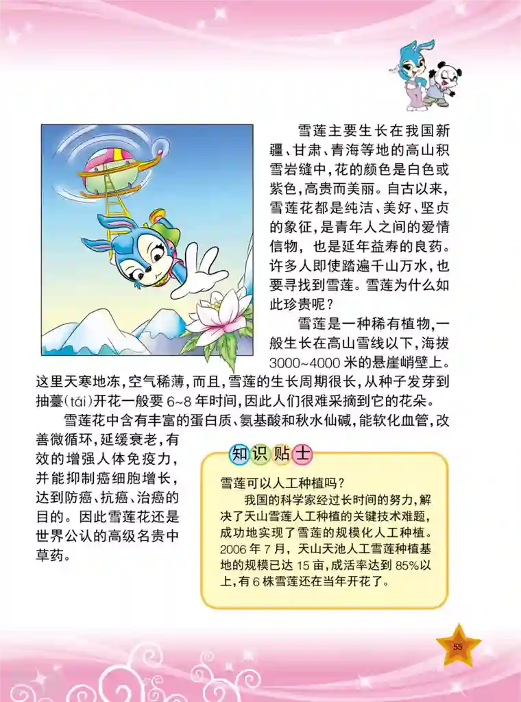 虹猫蓝兔十万个为什么之植物卷第6话