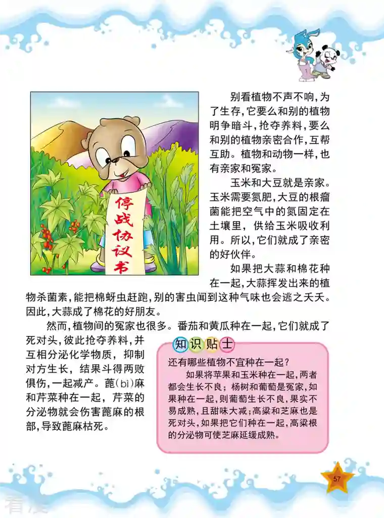 虹猫蓝兔十万个为什么之植物卷第7话