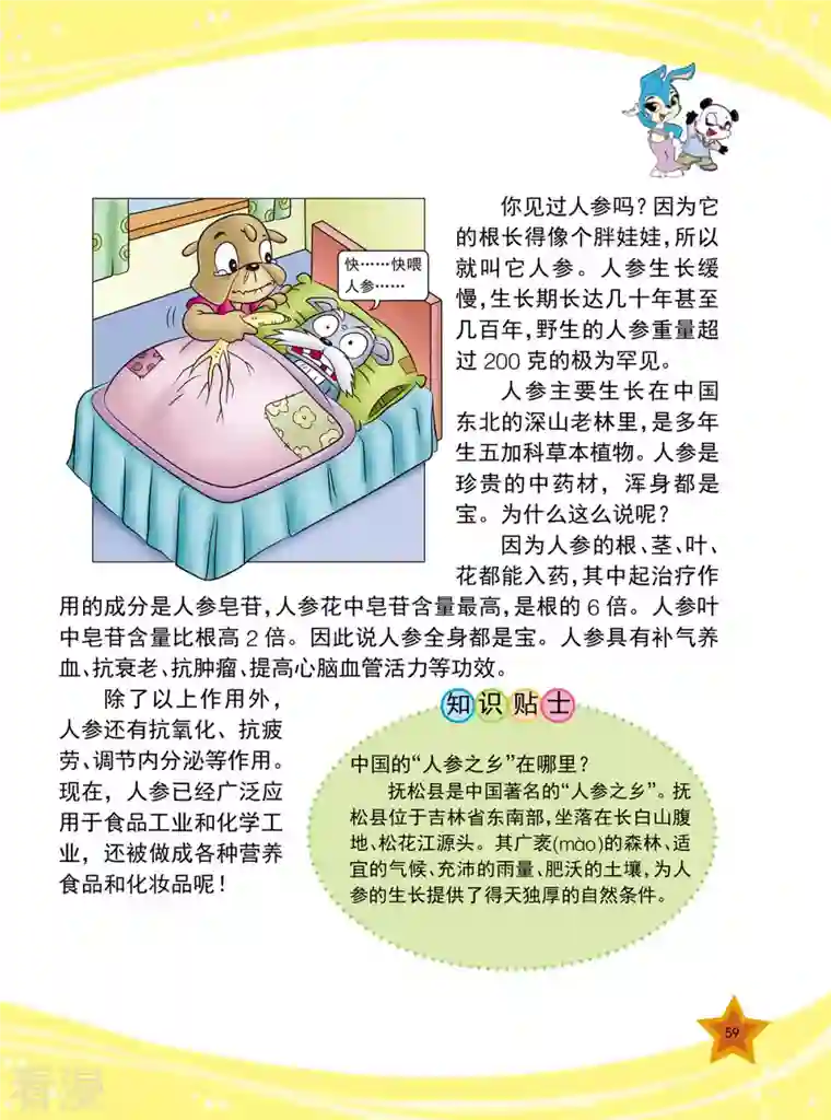 虹猫蓝兔十万个为什么之植物卷第7话