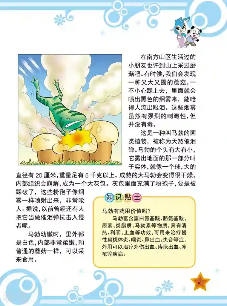 虹猫蓝兔十万个为什么之植物卷第7话