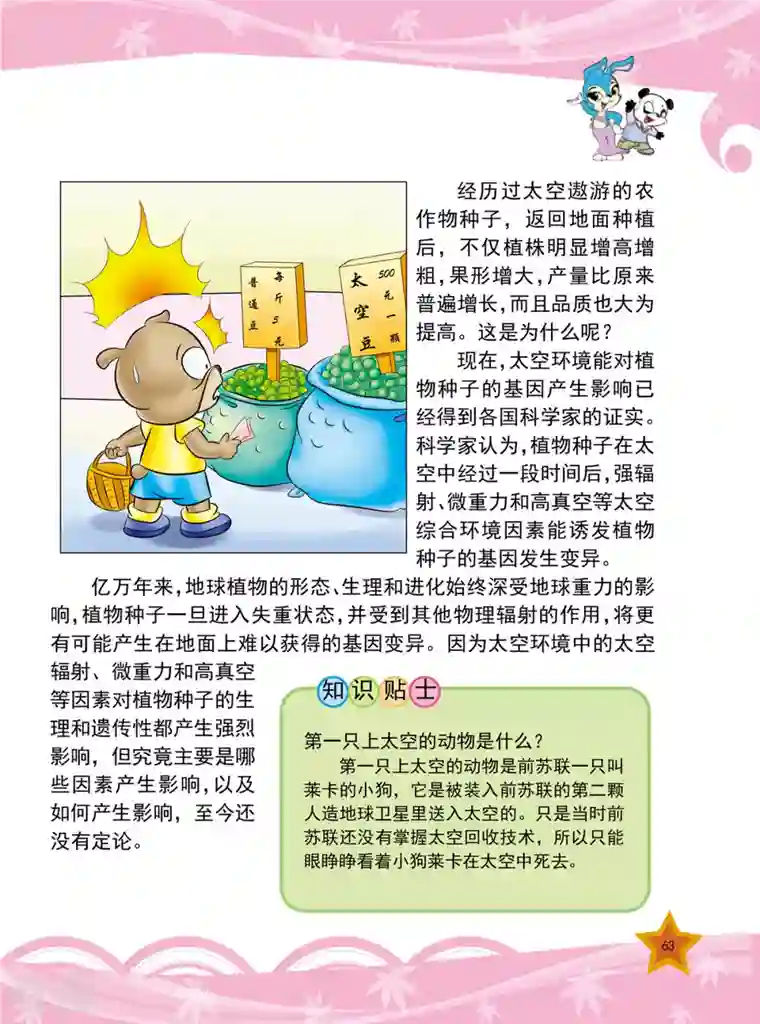 虹猫蓝兔十万个为什么之植物卷第7话