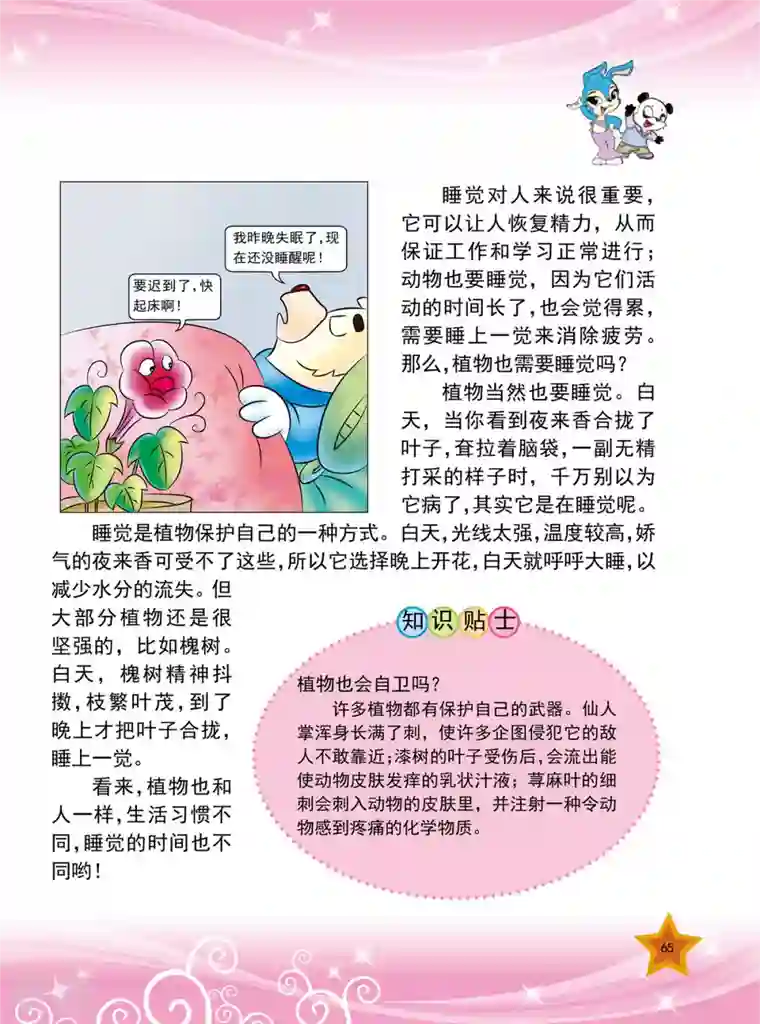 虹猫蓝兔十万个为什么之植物卷第8话