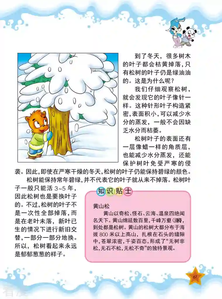 虹猫蓝兔十万个为什么之植物卷第8话