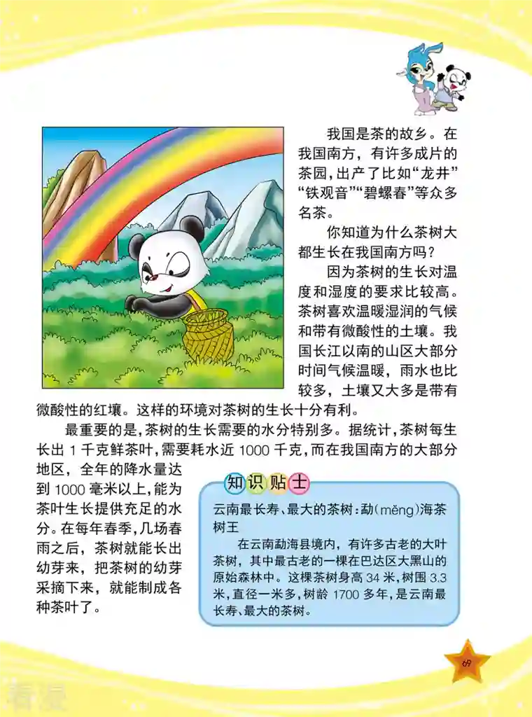 虹猫蓝兔十万个为什么之植物卷第8话