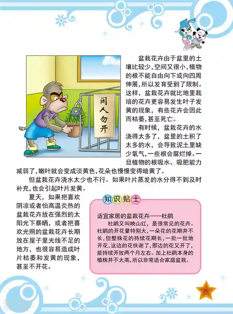 虹猫蓝兔十万个为什么之植物卷第8话
