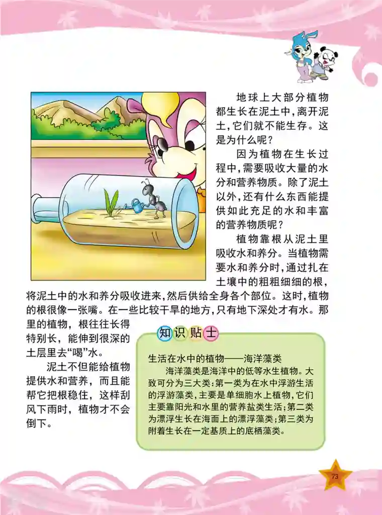 虹猫蓝兔十万个为什么之植物卷第9话