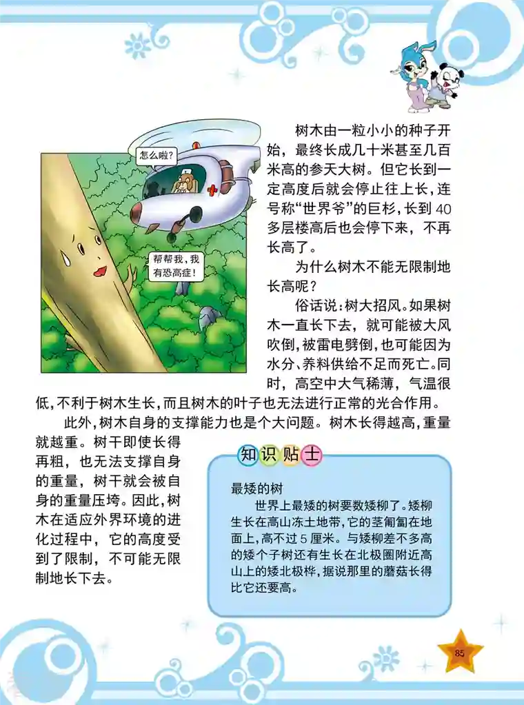 虹猫蓝兔十万个为什么之植物卷第10话