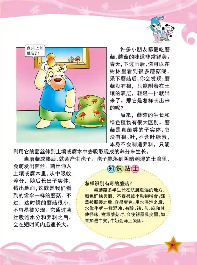 虹猫蓝兔十万个为什么之植物卷第10话