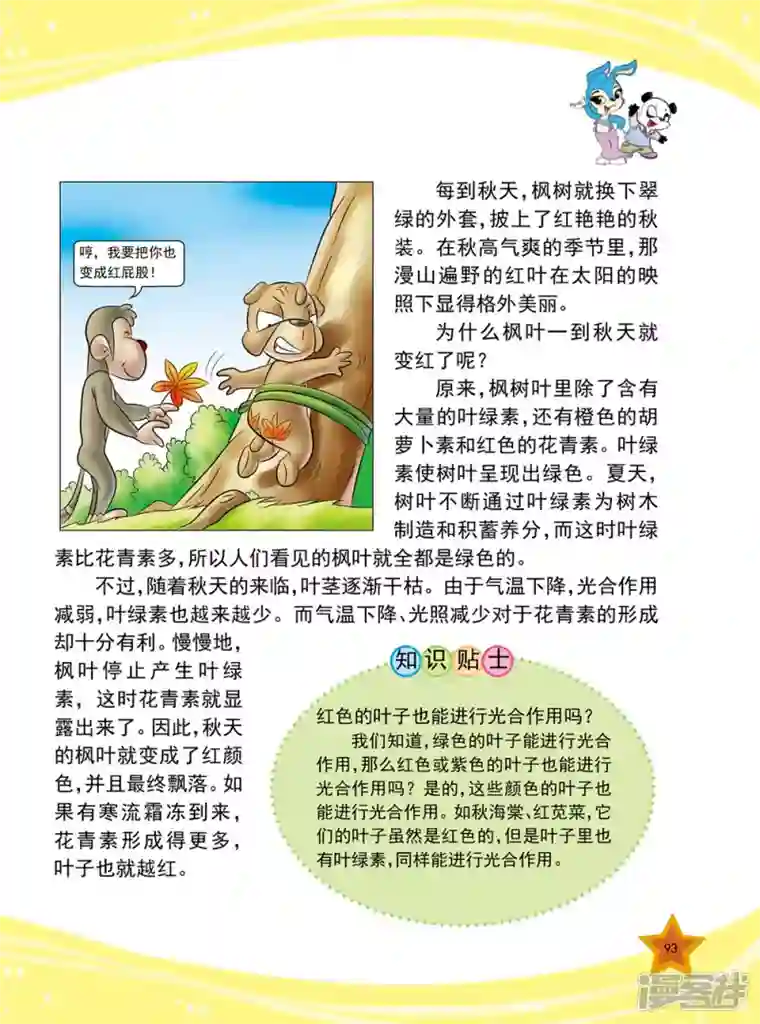 虹猫蓝兔十万个为什么之植物卷第11话