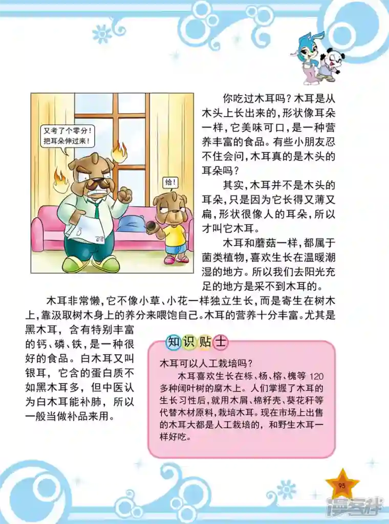 虹猫蓝兔十万个为什么之植物卷第11话