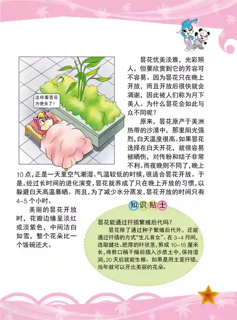 虹猫蓝兔十万个为什么之植物卷第12话