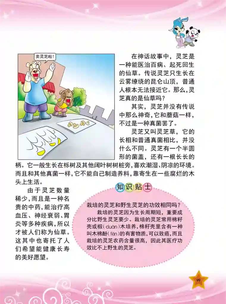 虹猫蓝兔十万个为什么之植物卷第12话