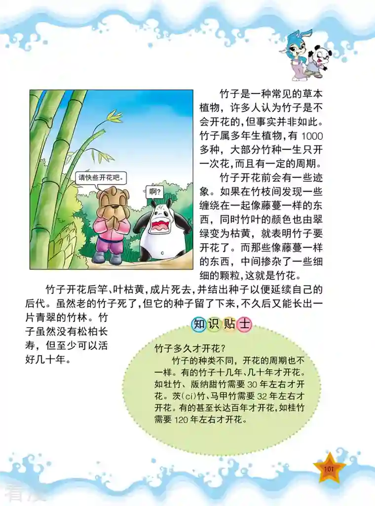 虹猫蓝兔十万个为什么之植物卷第12话