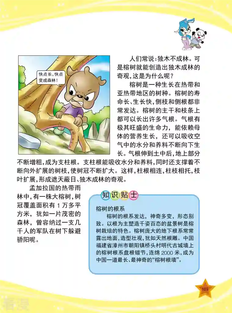 虹猫蓝兔十万个为什么之植物卷第12话