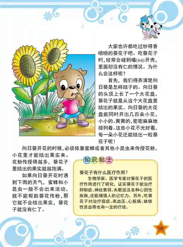 虹猫蓝兔十万个为什么之植物卷第13话