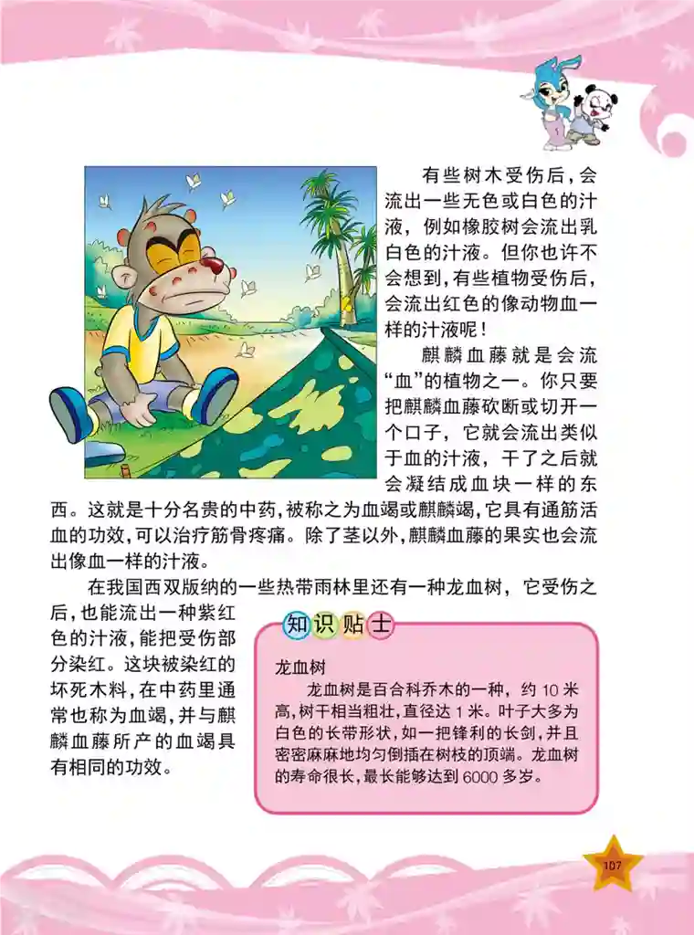 虹猫蓝兔十万个为什么之植物卷第13话