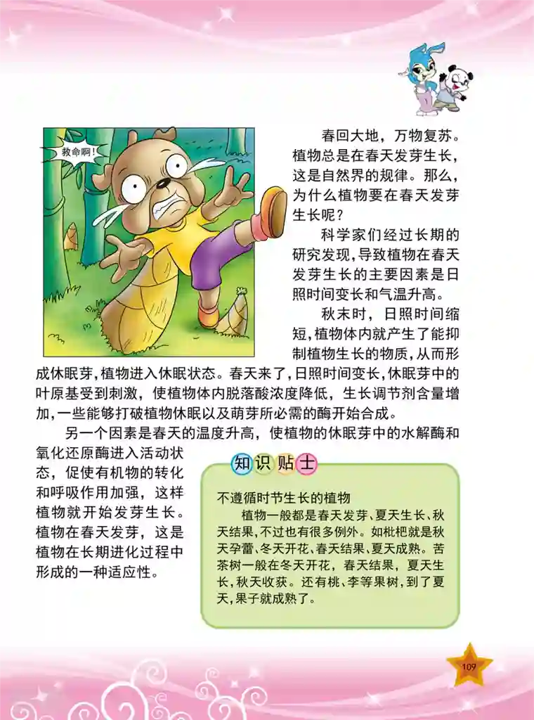 虹猫蓝兔十万个为什么之植物卷第13话