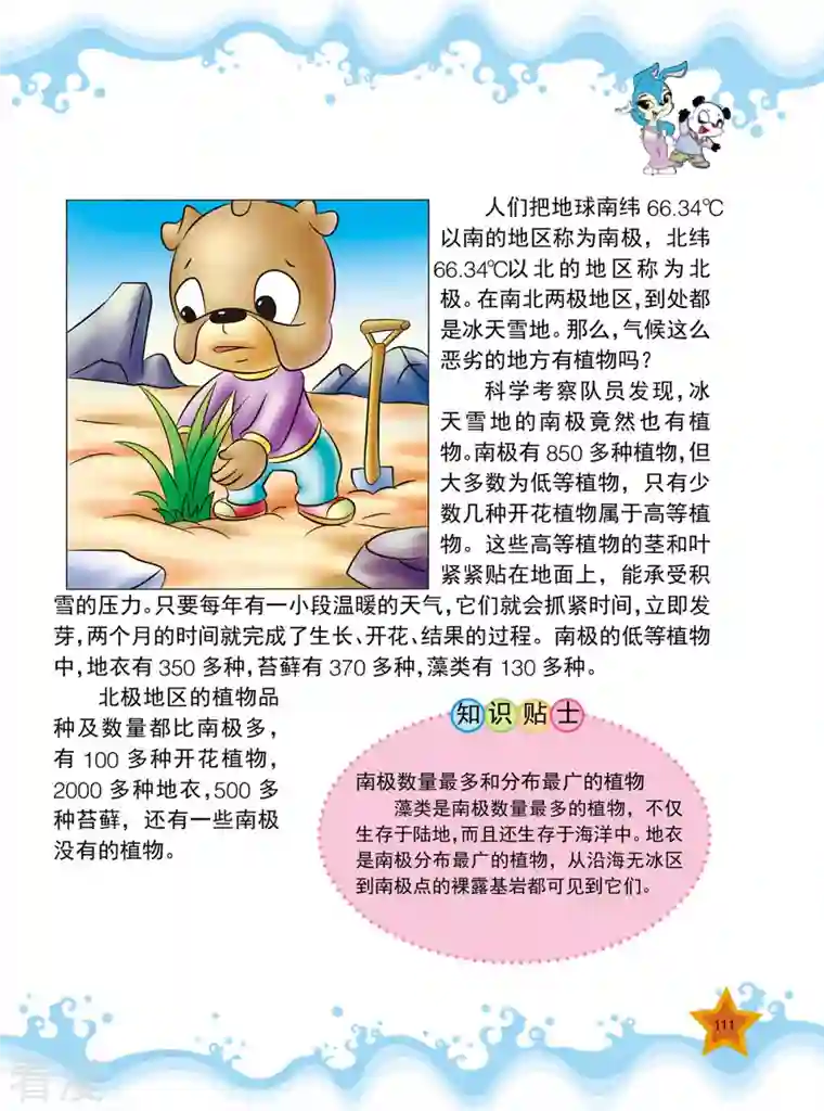 虹猫蓝兔十万个为什么之植物卷第13话