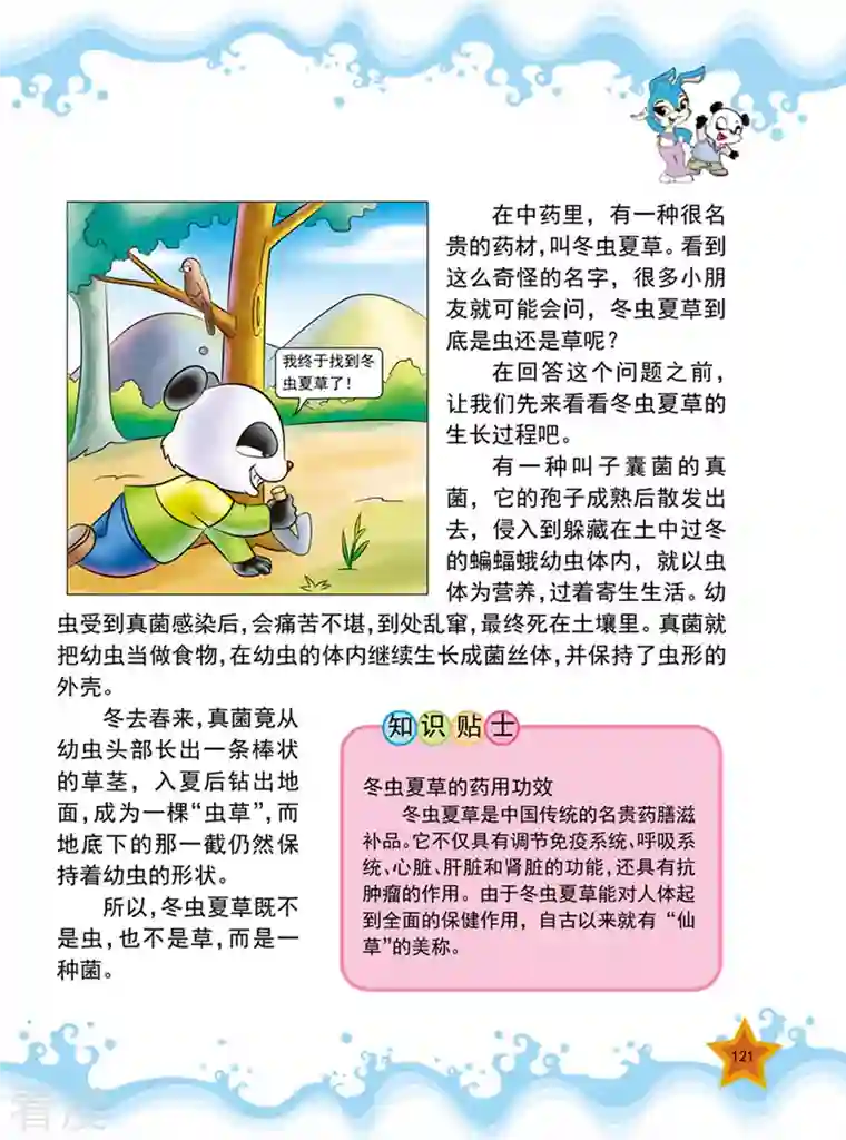 虹猫蓝兔十万个为什么之植物卷第15话