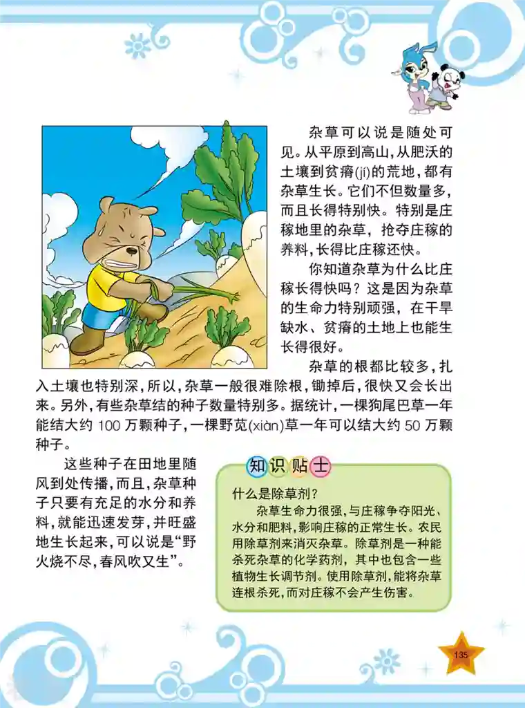 虹猫蓝兔十万个为什么之植物卷第16话