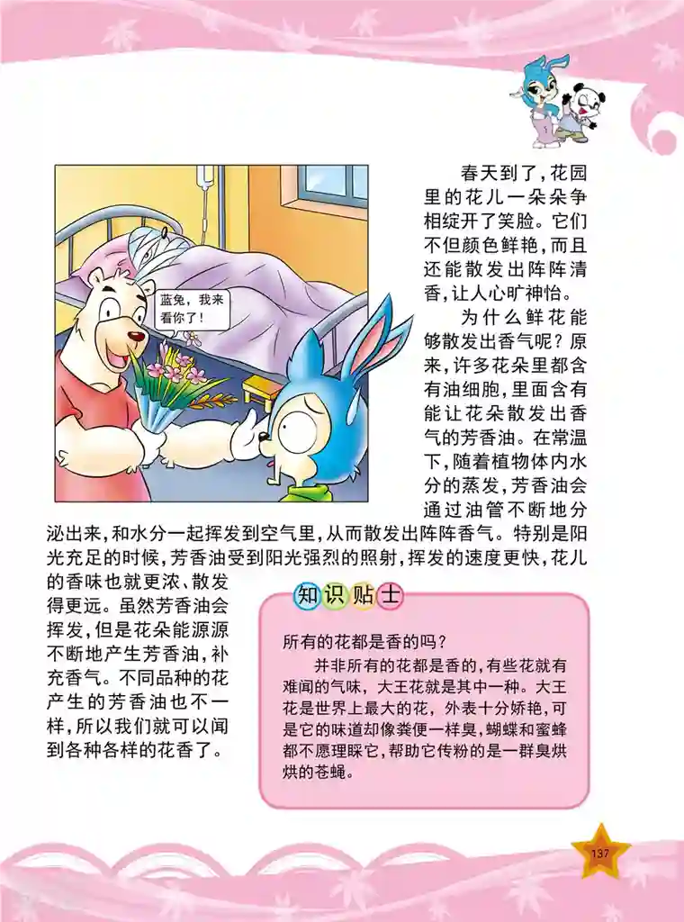 虹猫蓝兔十万个为什么之植物卷第17话