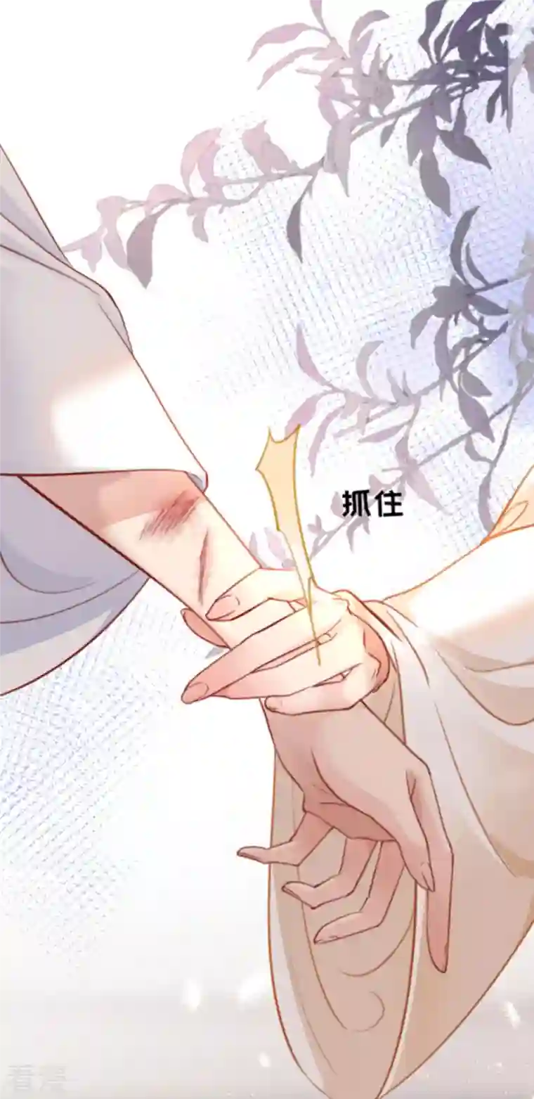 将军，本妃不承宠第10话 因妒生悢