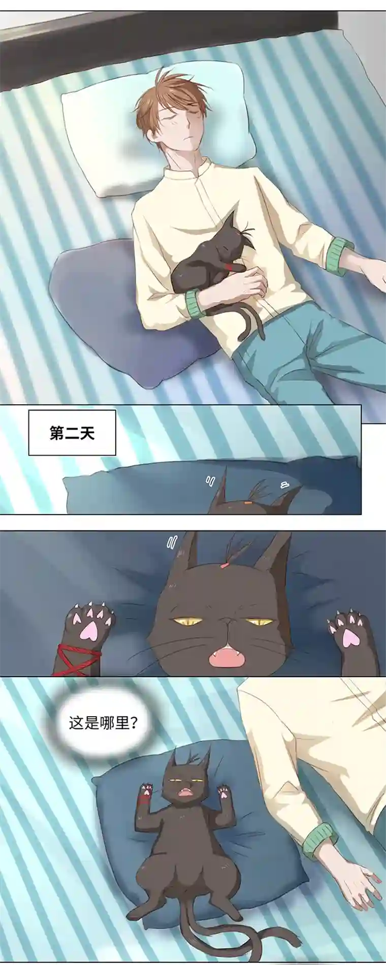 妖怪镖局押送中14 喵回来啦~