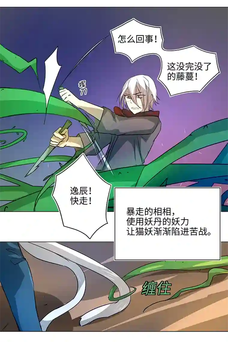 妖怪镖局押送中41 六十年前