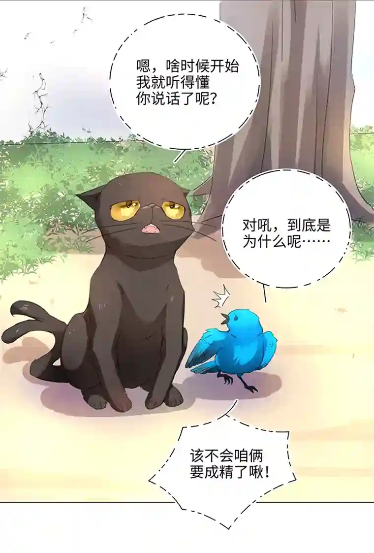 妖怪镖局押送中56 黑猫传说.一