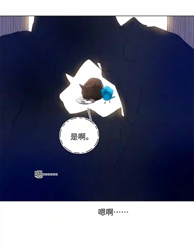 妖怪镖局押送中56 黑猫传说.一