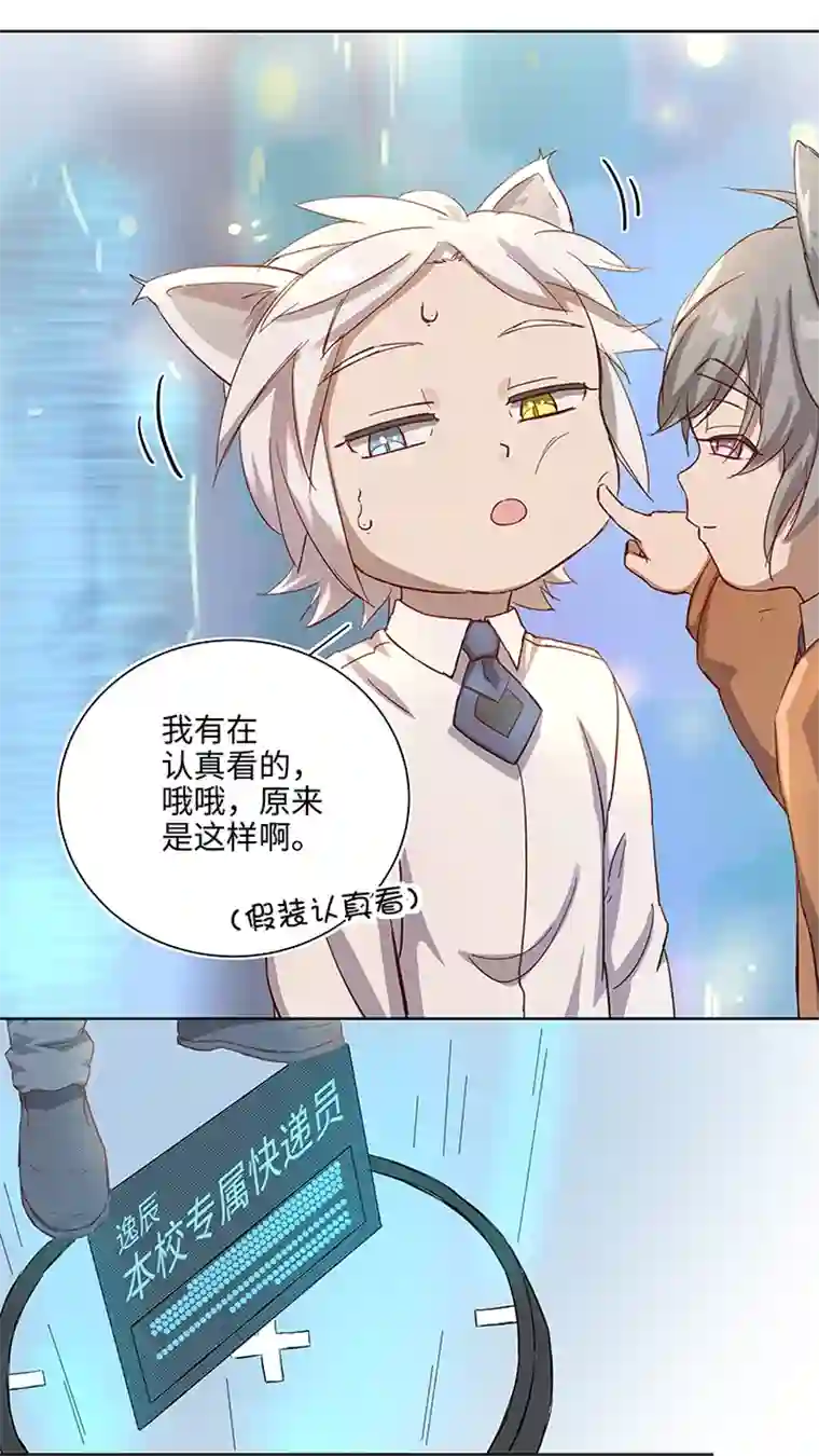 妖怪镖局押送中番外③ 泠珝与异色瞳狮子猫（上）