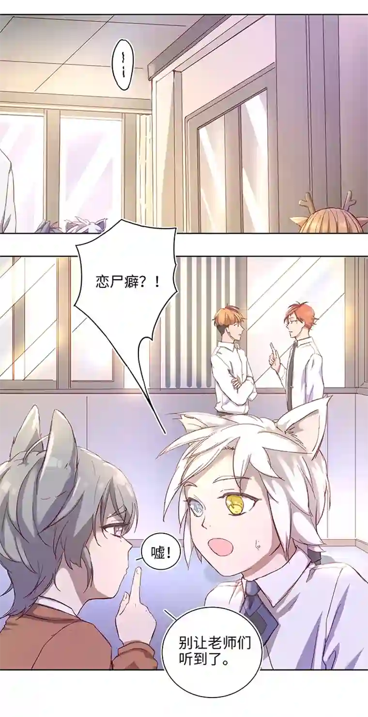 妖怪镖局押送中番外③ 泠珝与异色瞳狮子猫（上）