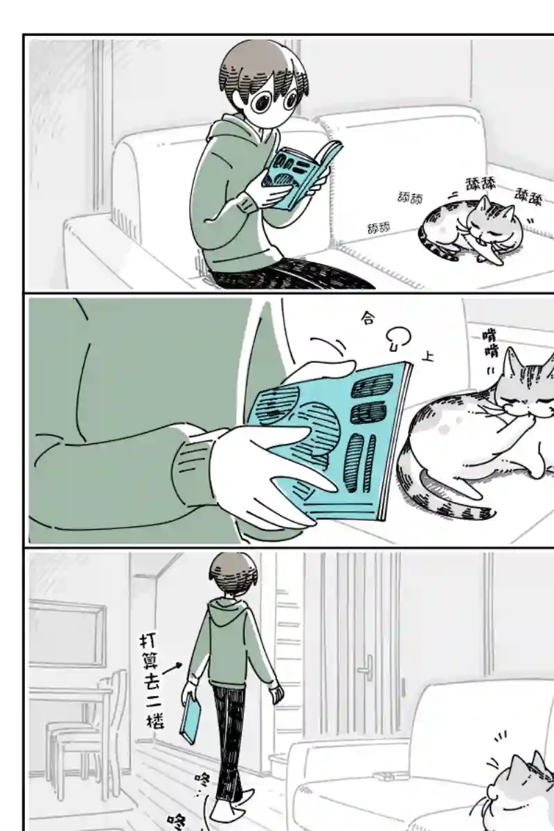 关于养猫我一直是新手第114话