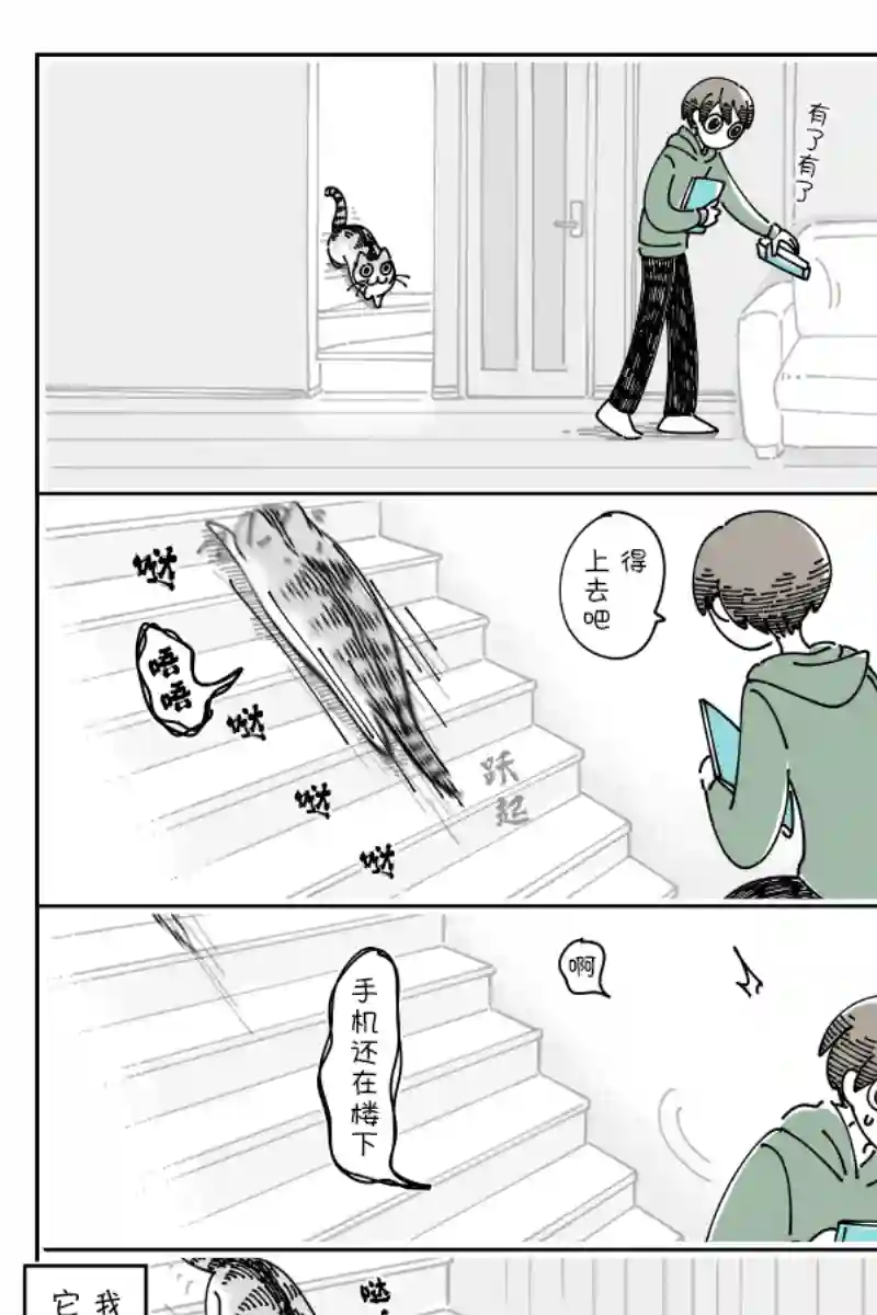 关于养猫我一直是新手第114话