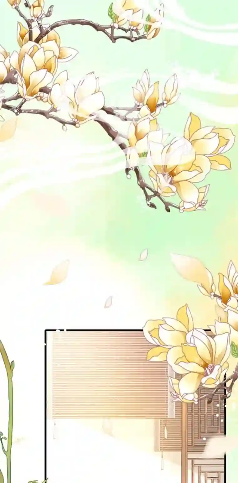 将军，本妃不承宠第2话 将军私密