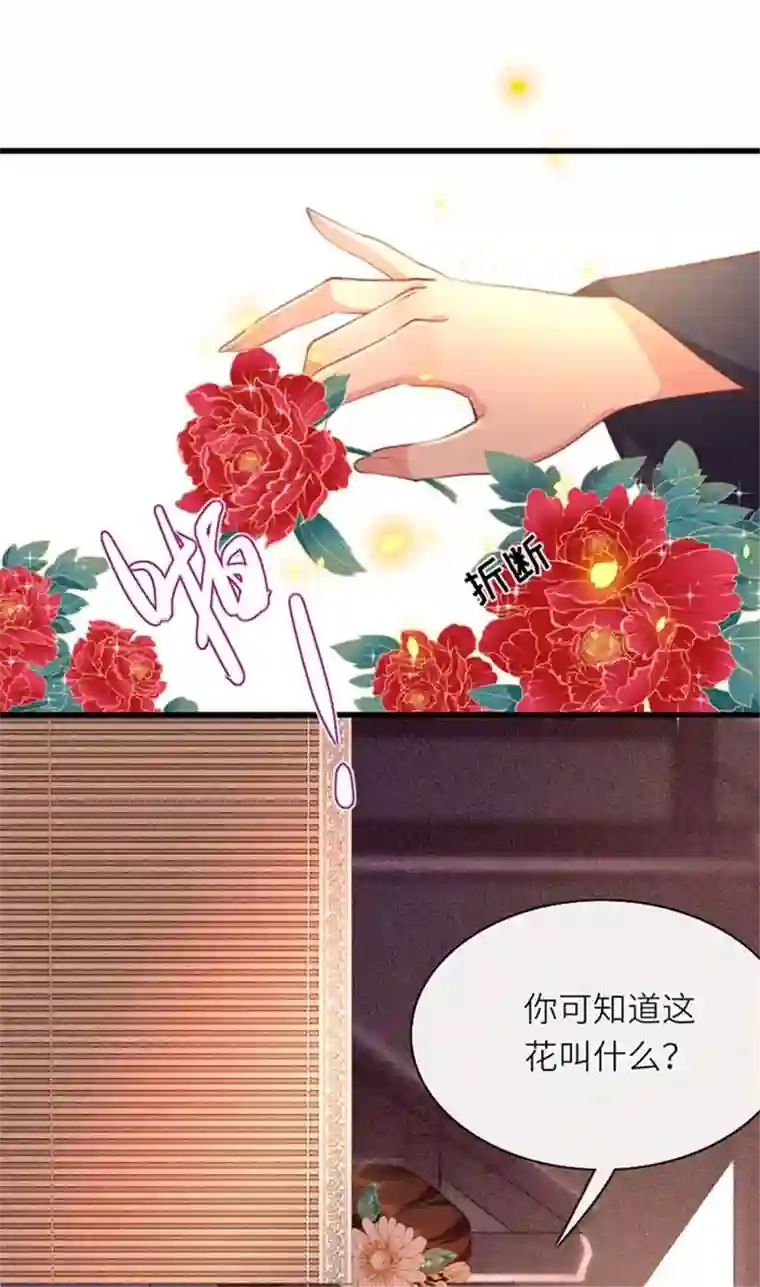 将军，本妃不承宠第6话 智怼恶妇