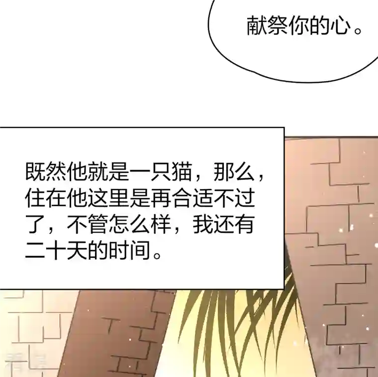 寻找前世之旅第2季第144话 水土不服1