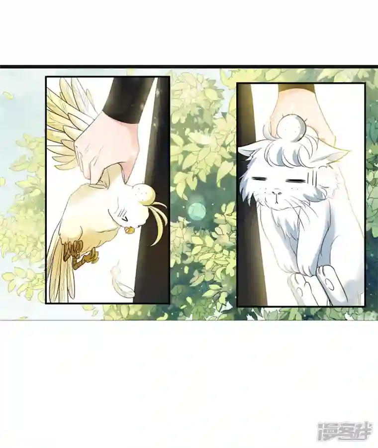 妃夕妍雪第2季第60话 破案3