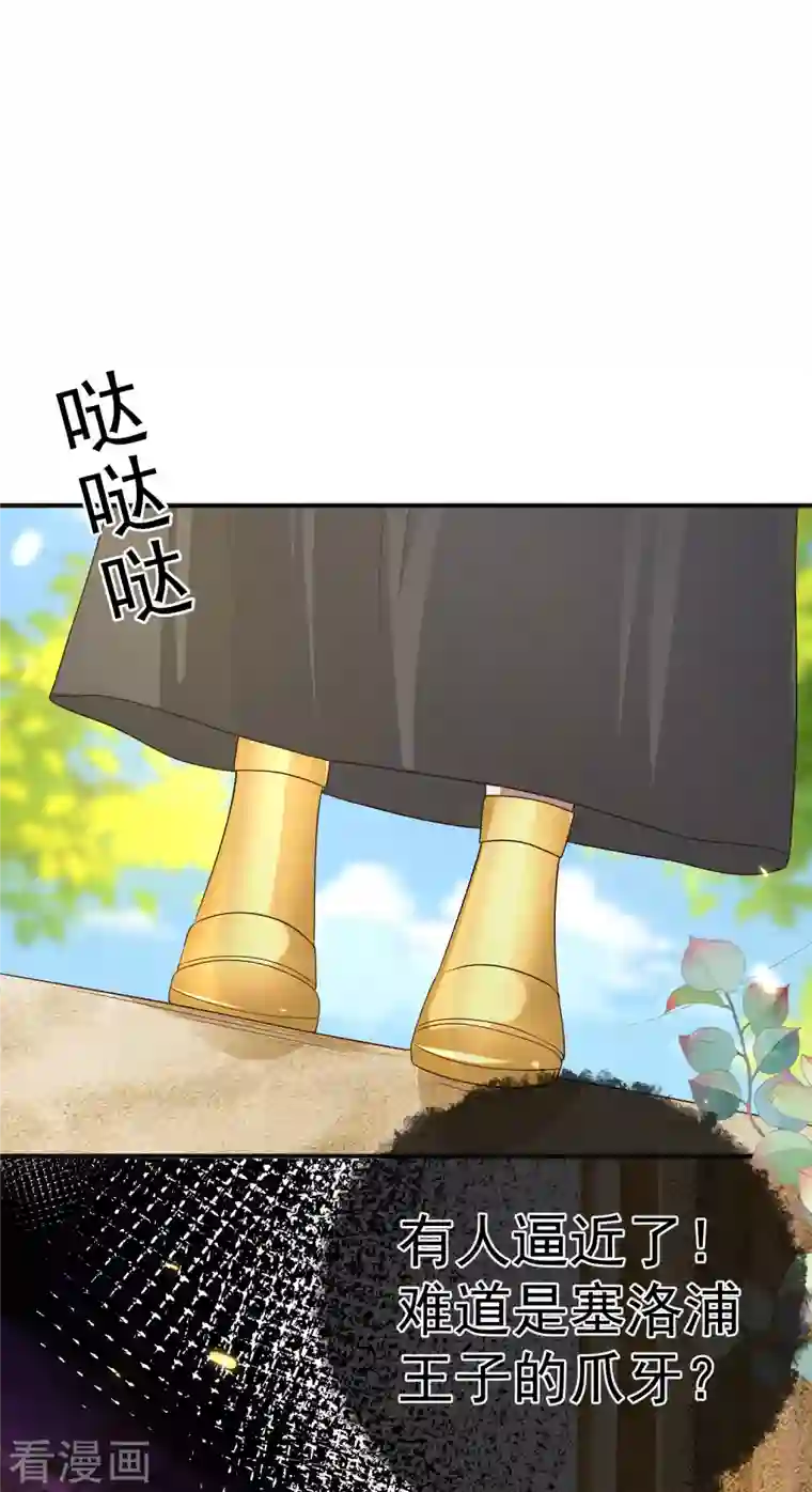 王的第一宠后第150话 她也来海洲了？