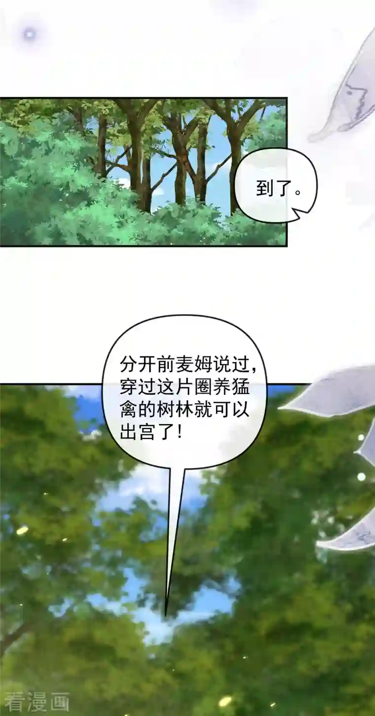 王的第一宠后第150话 她也来海洲了？