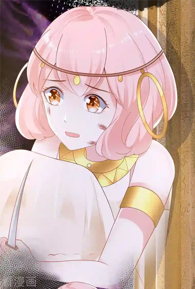 王的第一宠后第150话 她也来海洲了？